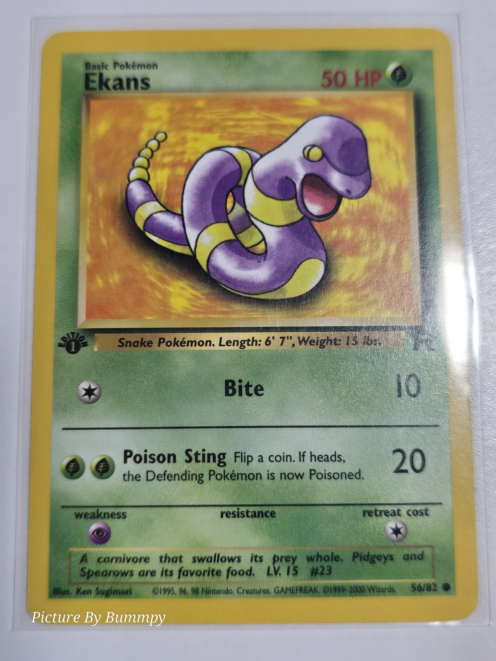 #16 Pokemon 1st Edition Ekans card from the Team Rocket set, numbered 56/82.